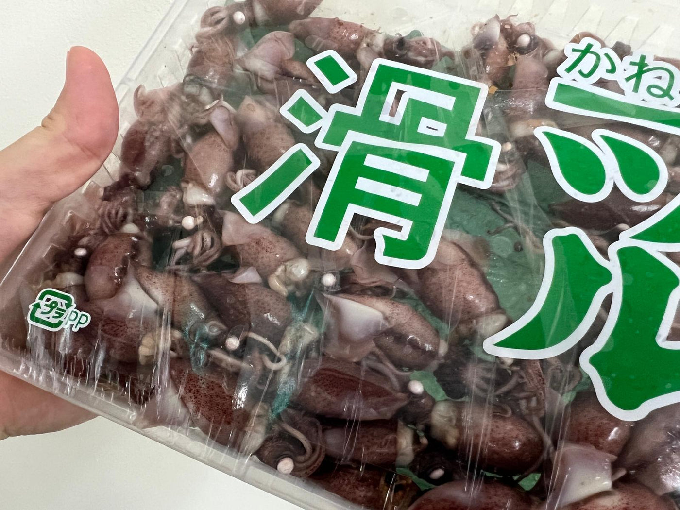 [SEASON NOW!] Boiled Hotaru IKA (Firefly Squid) 300g