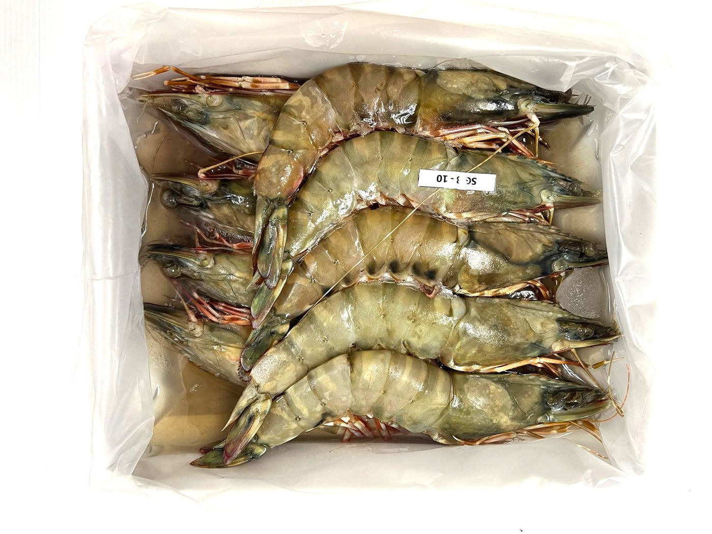 Large! Wild Caught Flower Tiger Prawn HOSO (8/10) 1kg