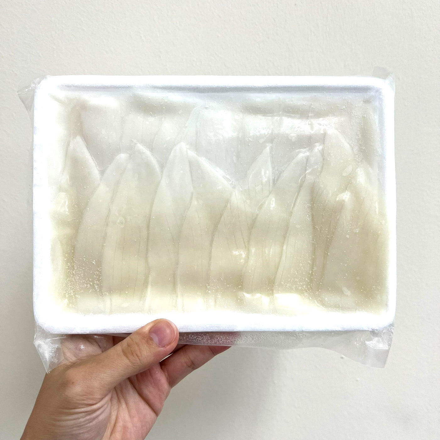 Yari Ika (Sashimi Grade Sliced Squid) 20pc